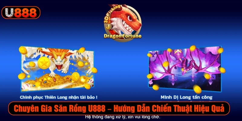 Chuyên Gia Săn Rồng